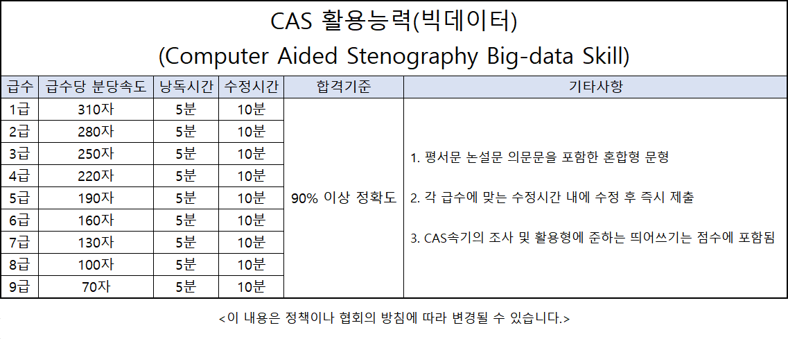 CAS활용능력(빅데이터) 기준.png